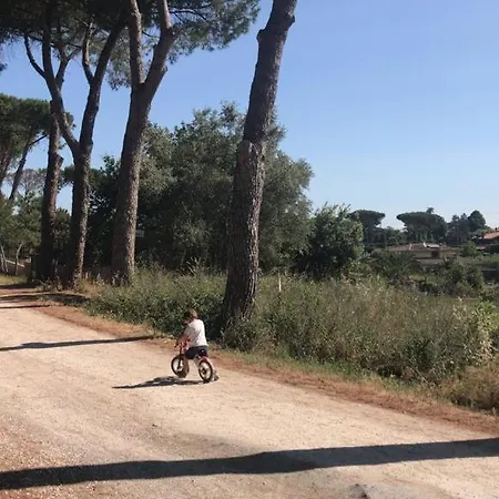 Colle Tartarugheto Casa di campagna